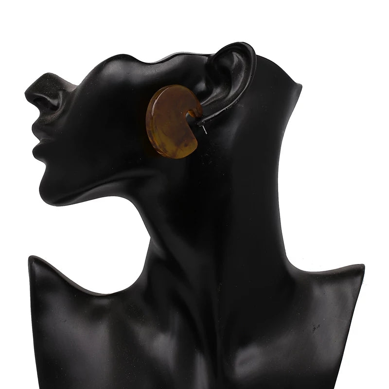Brown contemporary chunky earrings