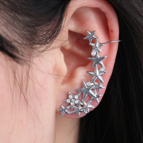 Bling Tassell Ear Hook Earrings