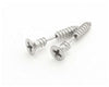 Silver Screw Earrings